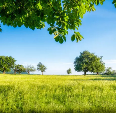 MAEC environnement