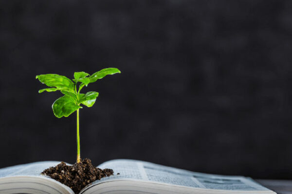 formation en agriculture et environnement