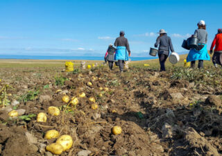 ouvriers agricoles