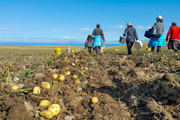 ouvriers agricoles