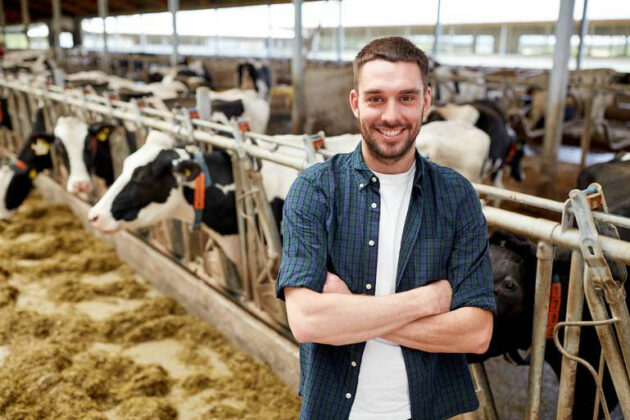 Réussissez votre installation jeune agriculteur – Altéor Conseil et