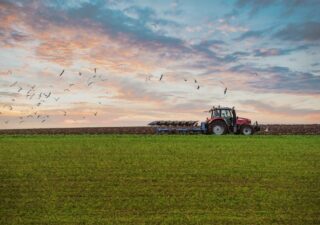 Reprendre une exploitation agricole