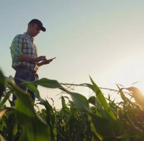 agriculteur