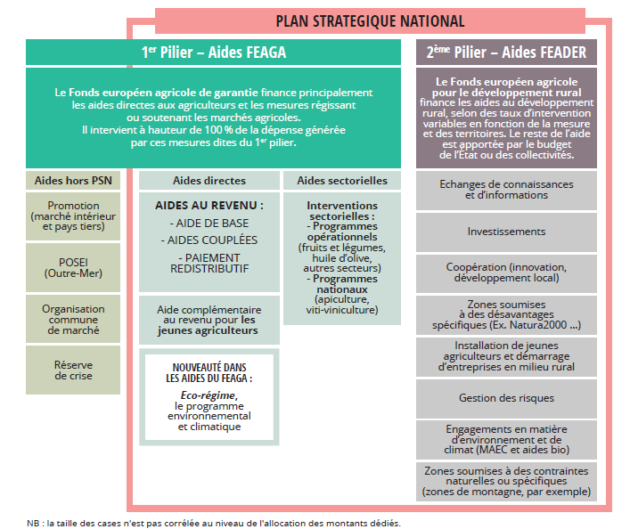 Plan stratégique national