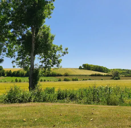 Nouvelles règles pac