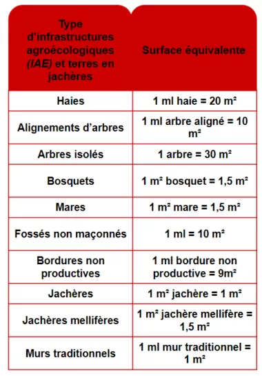 BCAE 7