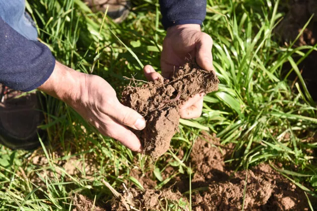 Reliquat sortie d'hiver