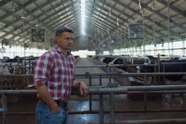 Phase amont de demandes d'autorisation environnementales